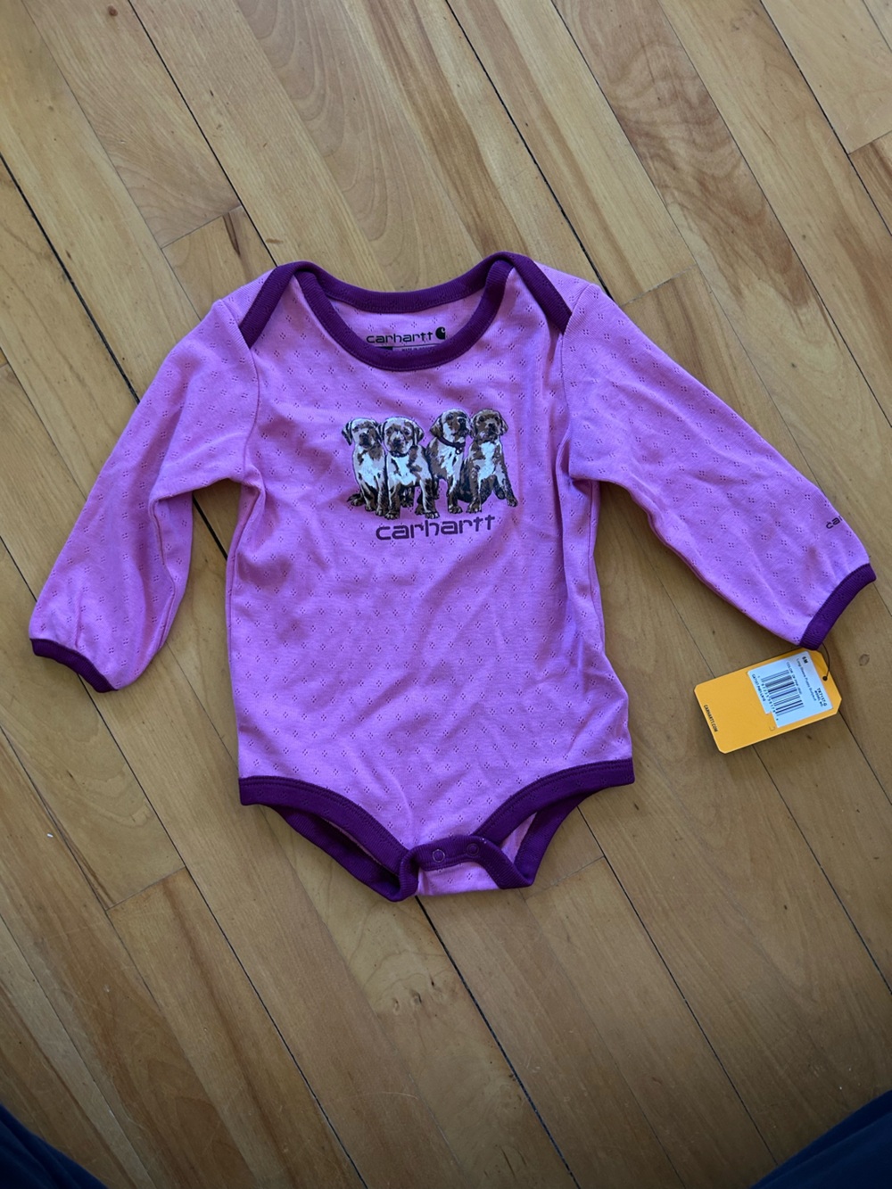 Carhartt Pink Pointelle Bodysuit with Dark Pink Trim and Puppy Print